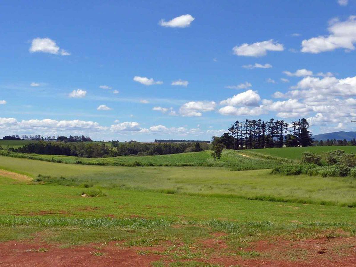 Atherton