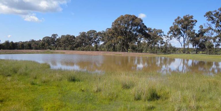 Paynters Road, Violet Town