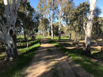 317 Lilford Lane, Barham