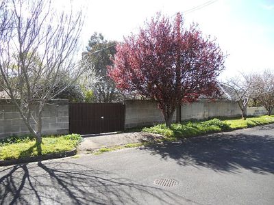 12 McKenzie Street, Mount Gambier