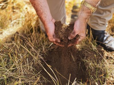 496 Blackwood Creek Road (access via Hodgetts Road), Blackwood Creek