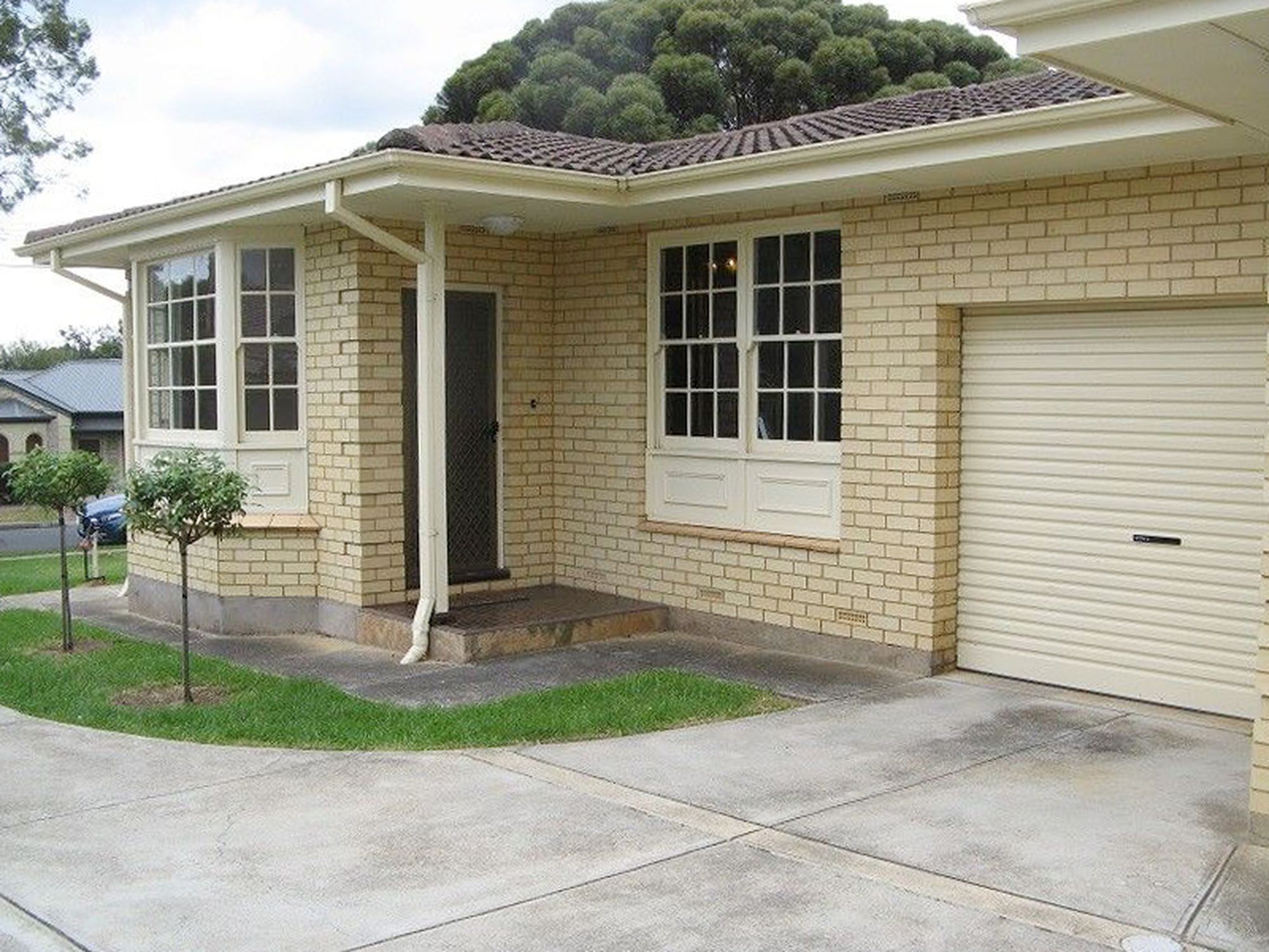 1 / 38 Torrens Street, Linden Park