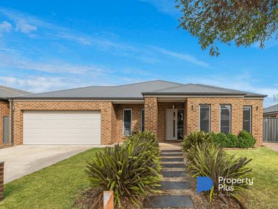 81 Greenfield Drive, Epsom