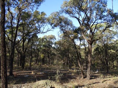 Crown Allotment 127 Nagambie Rushworth Road , Nagambie