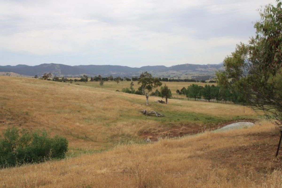 1305 Mount Buller Road, Merrijig