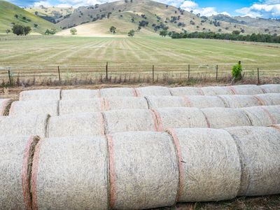 4118 Murray River Road, Thologolong