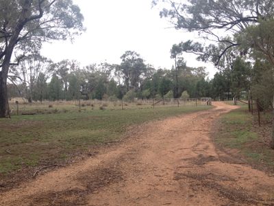 33 Wattle Road, Elong Elong