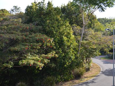 1 / 4 Willaroo Way, Maleny