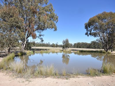 6L Panai Avenue, Dubbo