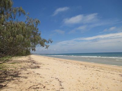 36 First Ave, Woodgate