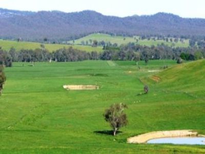 Mountain Creek Road, Holbrook