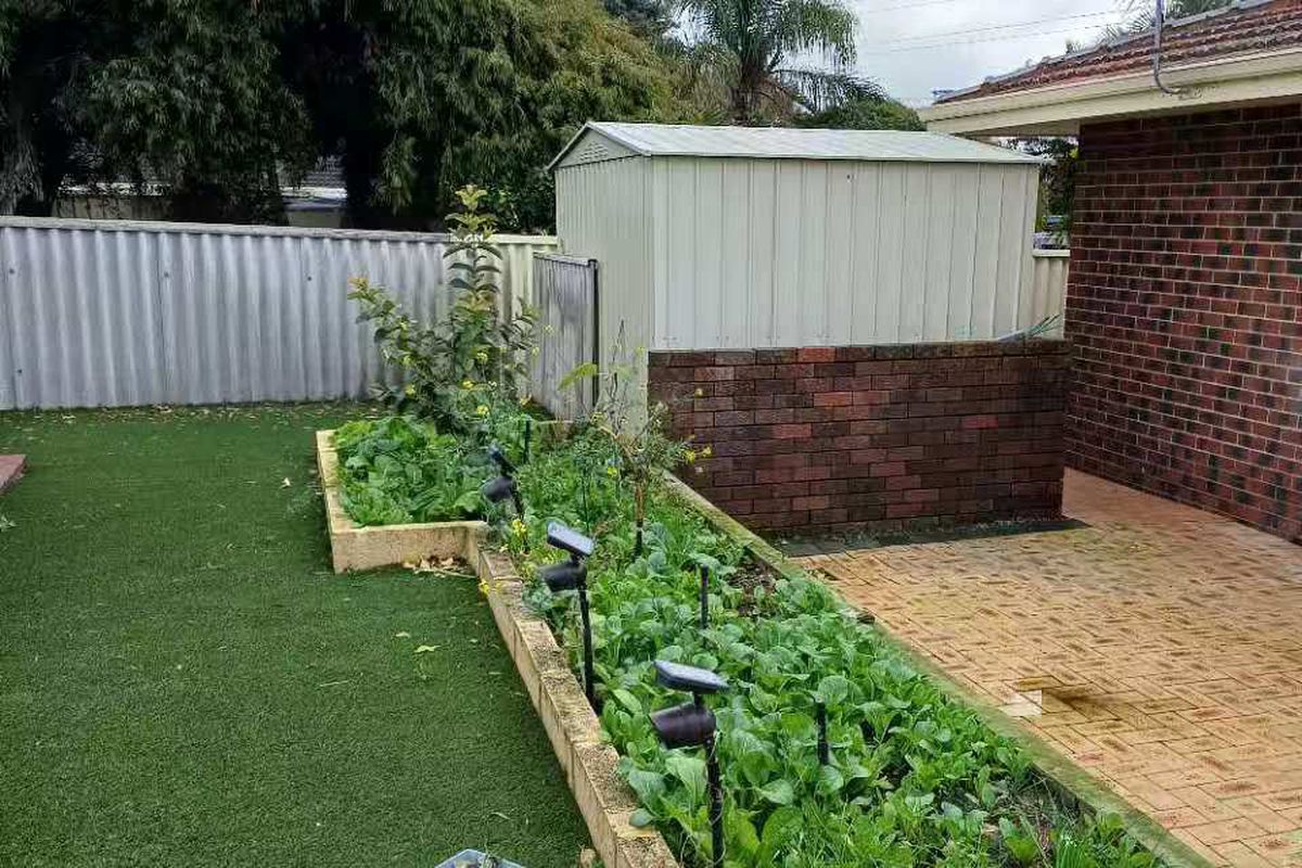 147 Winterfold Road, Coolbellup