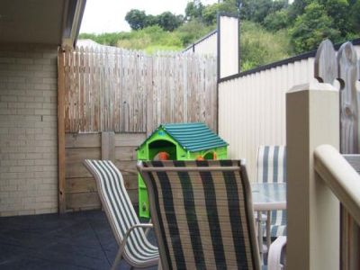 Blackbutt