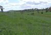 Lot 1 Reyfield Drive, Orange