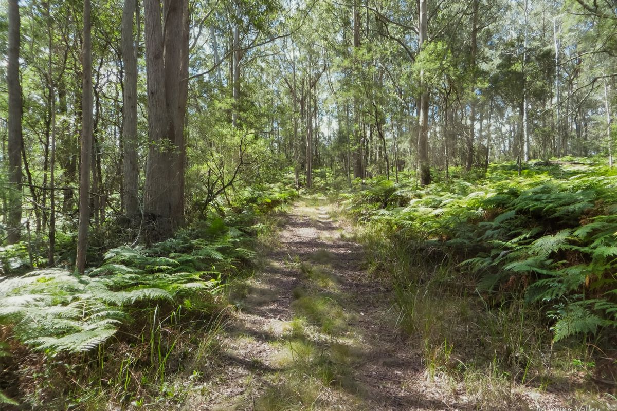 Lot 62 Baxters Ridge Road, Gloucester