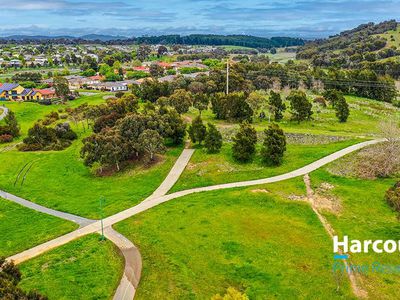 11 Platypus Place, Nicholls