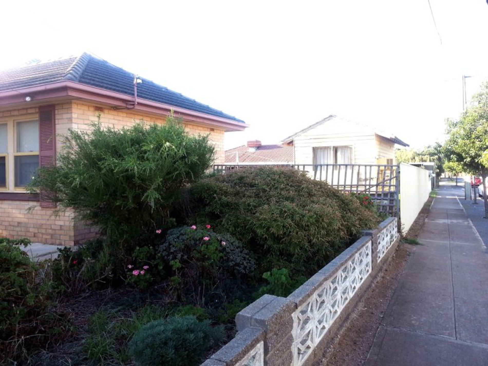 11 Bristol Avenue, Camden Park