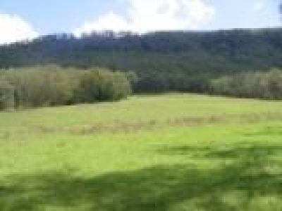 Lot 3 Lot 3 Cedar Springs Road, Kangaroo Valley