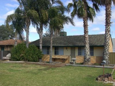 8 Beddoes Avenue, Dubbo