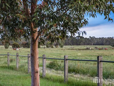 151 Brady Road, Dandenong North