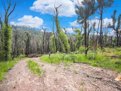 238 Reedy Creek Road, Eurobodalla