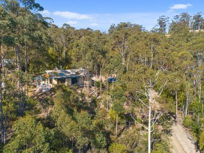 41 Cawthorns, Wattle Grove