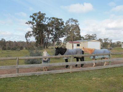 478 Heathcote-Nagambie Road, Heathcote