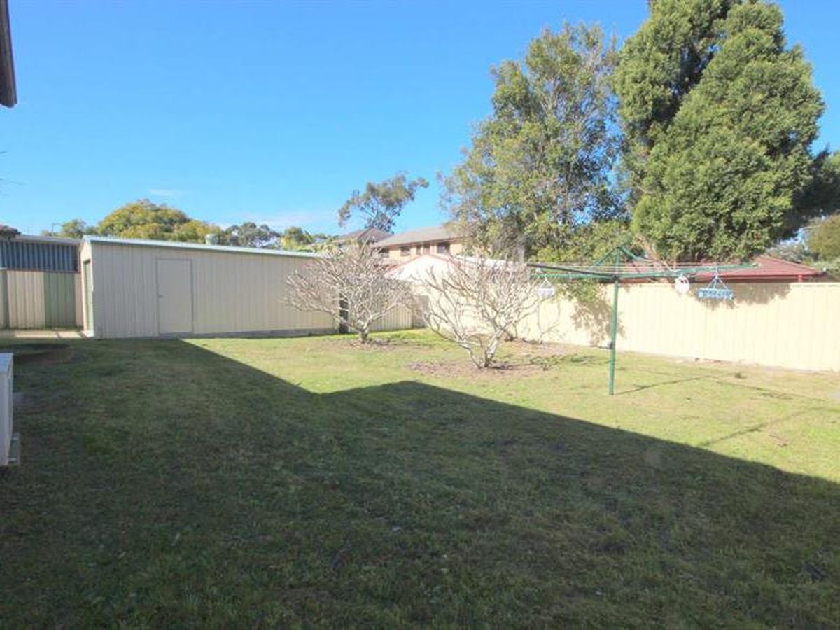 1282 Lemon Tree Passage Rd, Lemon Tree Passage, Lemon Tree Passage - Thumbnail 8