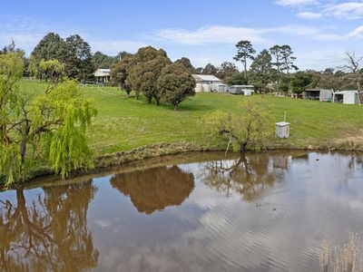 2115 HIGHLANDS ROAD, Whiteheads Creek