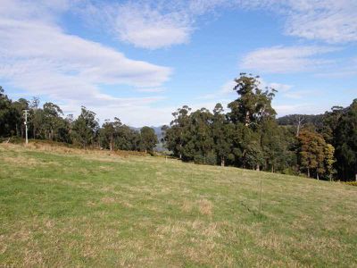 Petcheys Bay
