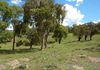 Lot 11 Lower Lewis Ponds Road, Orange