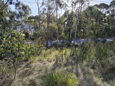 77 Grovenor Rise, Grove
