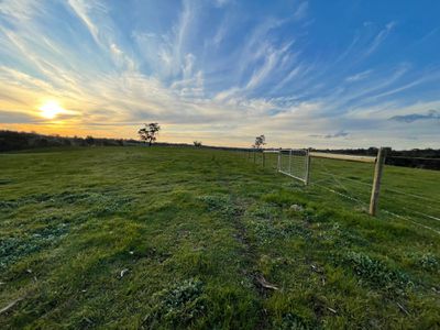 54 Thomas Lane, Heathcote