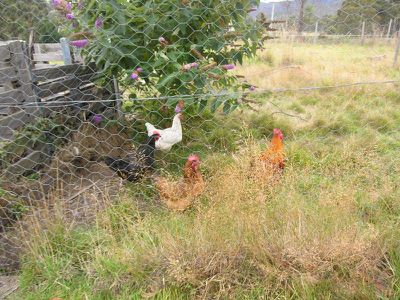 163 Judds Creek Road, Judbury