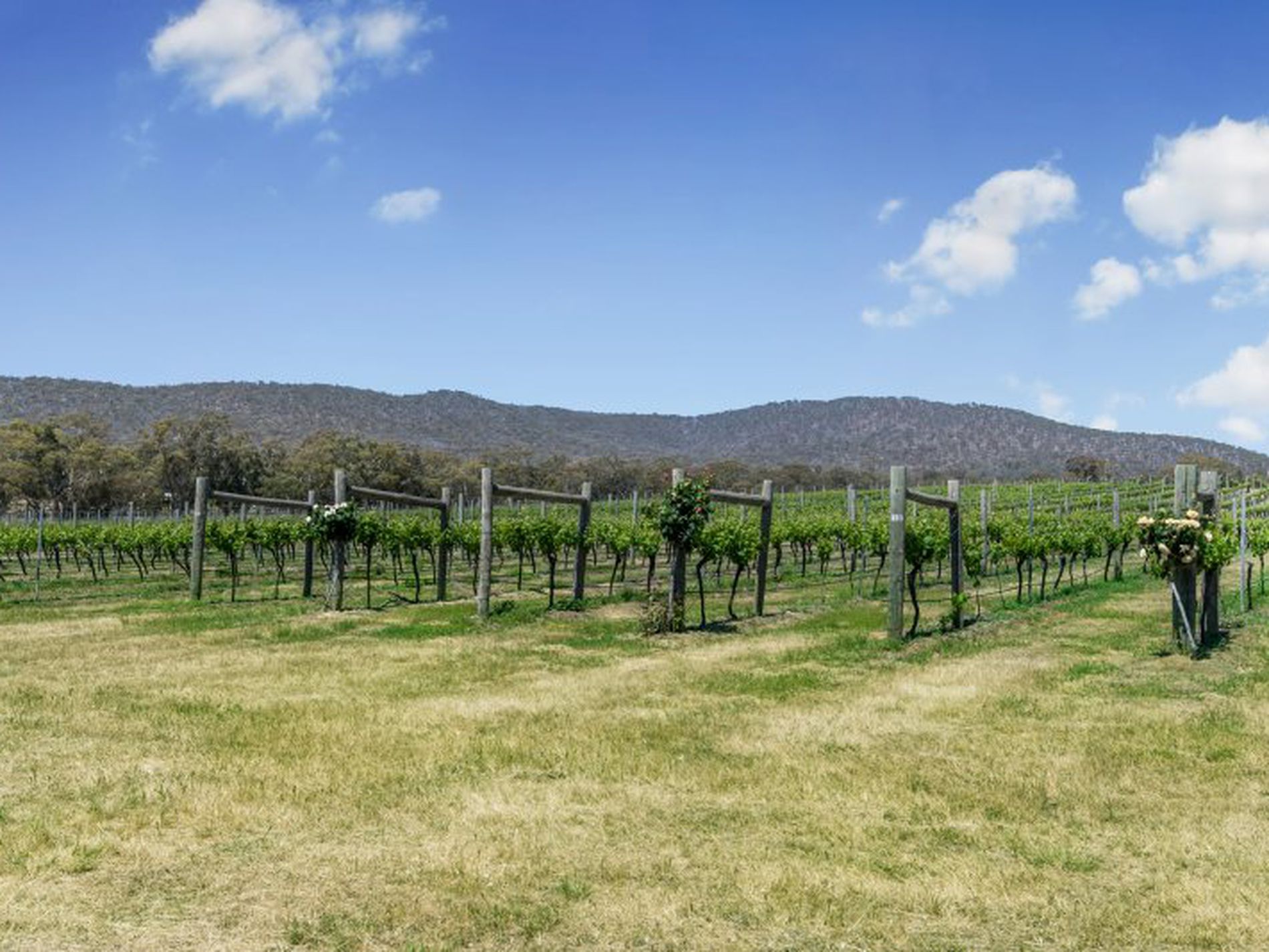 19 Drummonds Lane, Heathcote