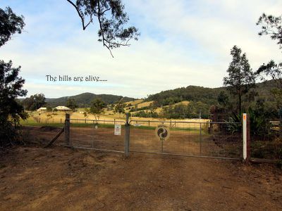 551 Possum Brush Road, Possum Brush