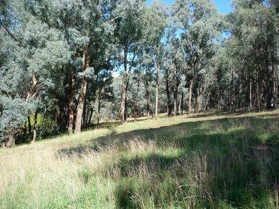 Little Billabong Road, Holbrook
