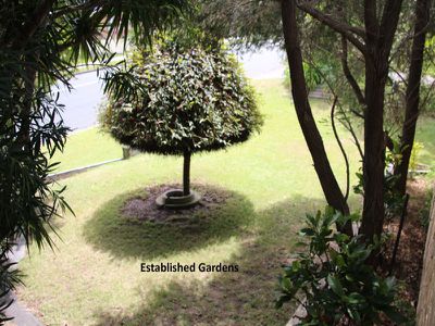 3 Kentia Drive, Forster
