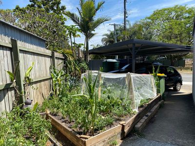 65 Woodlands Drive, Rochedale South