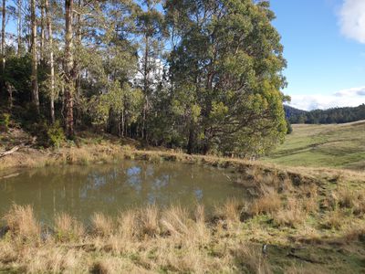 Lot 1 (East) Coal Mine Road, Kaoota