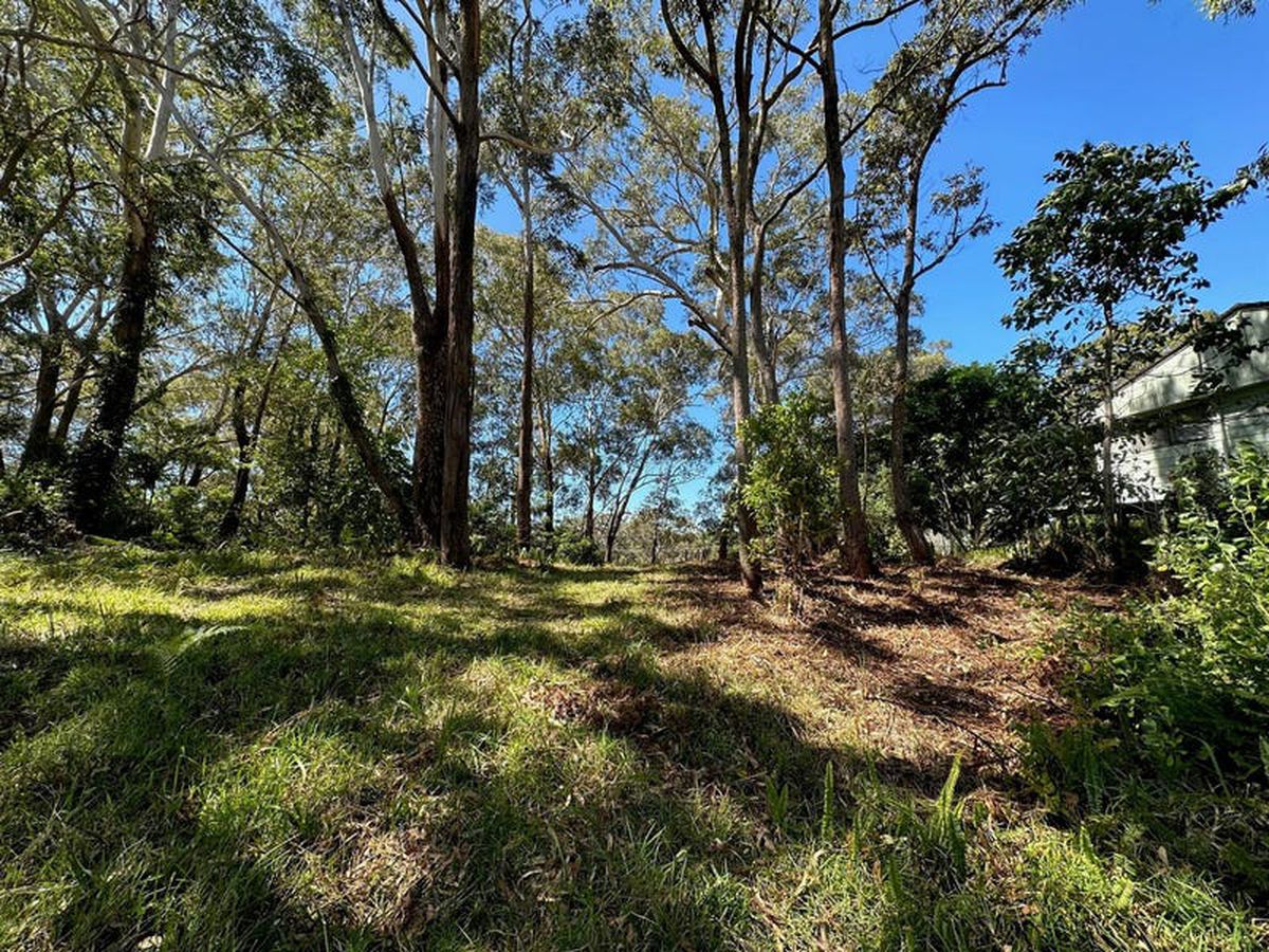 23 James Scott Crescent, Lemon Tree Passage, Lemon Tree Passage - Thumbnail 5