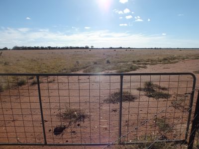 51 Connors Lane West Wyalong, West Wyalong