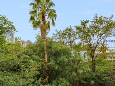 9 / 23 Waiwera Street, Mcmahons Point