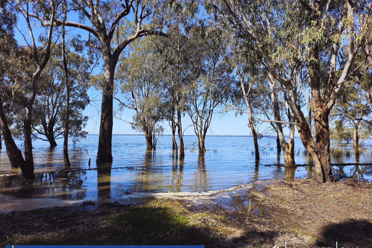 991 Rushworth-Tatura Road, Waranga Shores