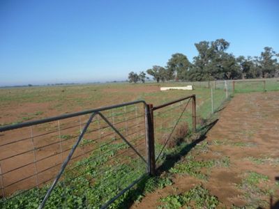 Wilson Road, Deniliquin
