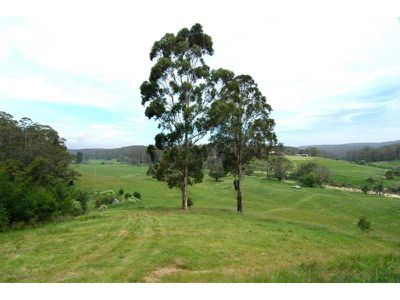 Lot 47 -48 Lower Towamba Road, Kiah