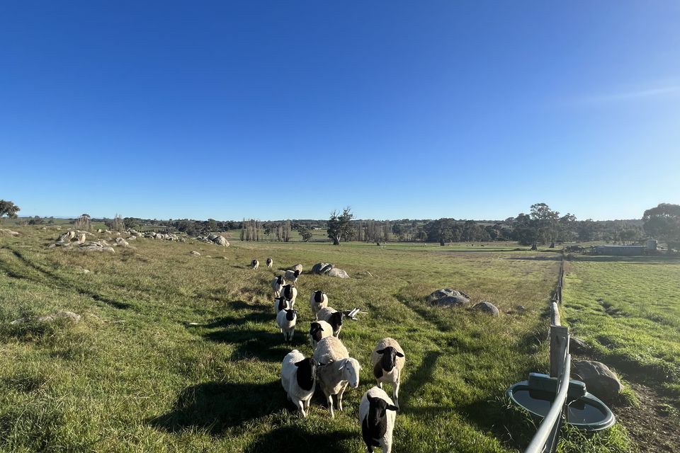 Lot 187, Vigars Road, Eden Valley