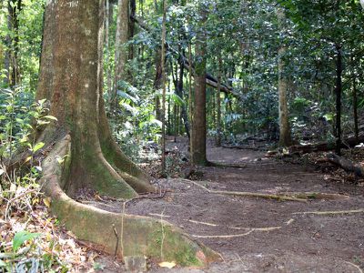 7 High Street, Nimbin