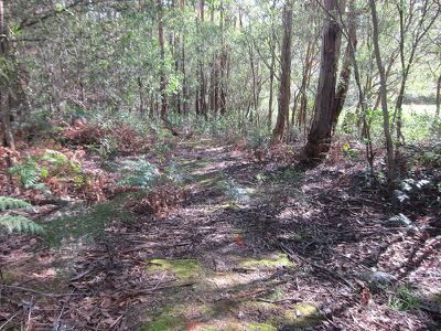 Lot 1 Missing Link Road, Wattle Grove