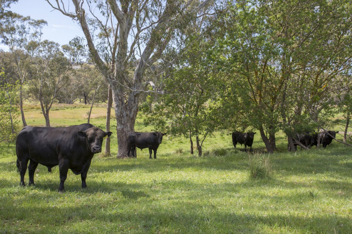 405 Oak Valley Road, Avenel